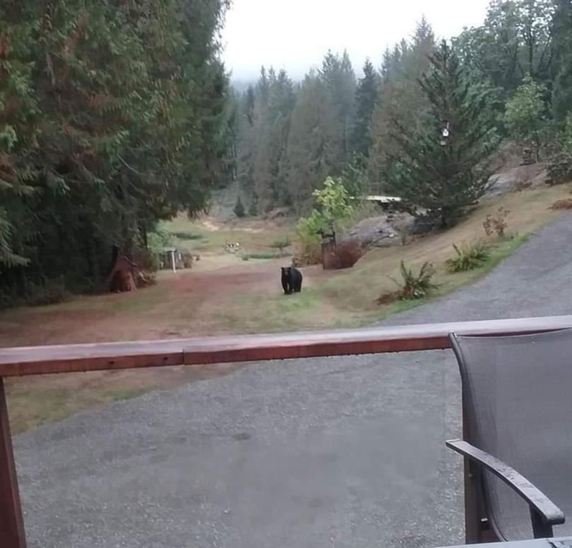 Beaver Hut Bed And Breakfast Port Alberni Exterior foto